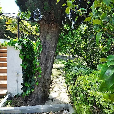 Margarita Villa *